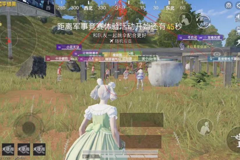 内存透视